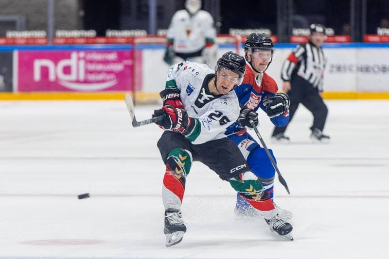 Ice Hockey. Polska Hokej Liga. GKS Tychy - Marma Ciarko STS Sanok. 04.11.2022