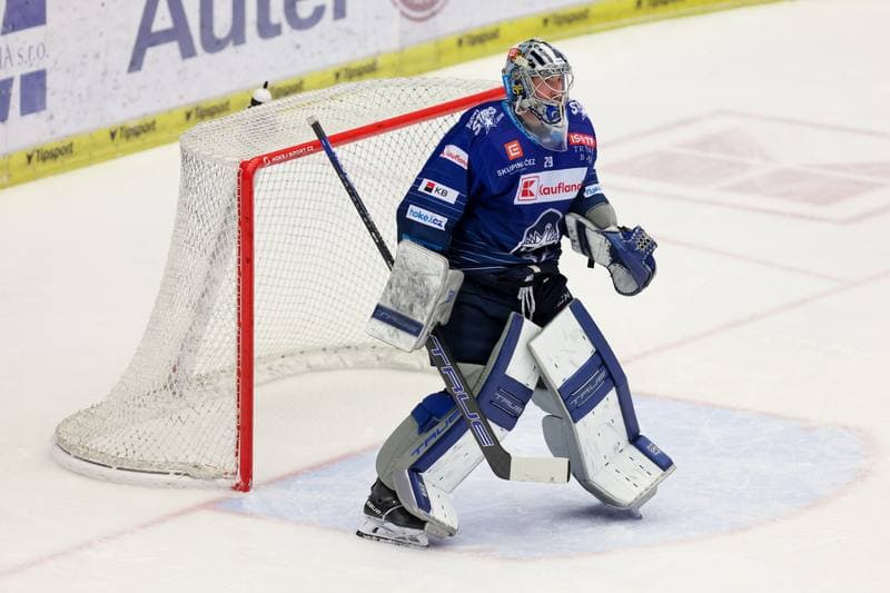 Ice Hockey. Tipsport Extraliga. Ocelari Trinec - Rytri Kladno. 31.01.2024