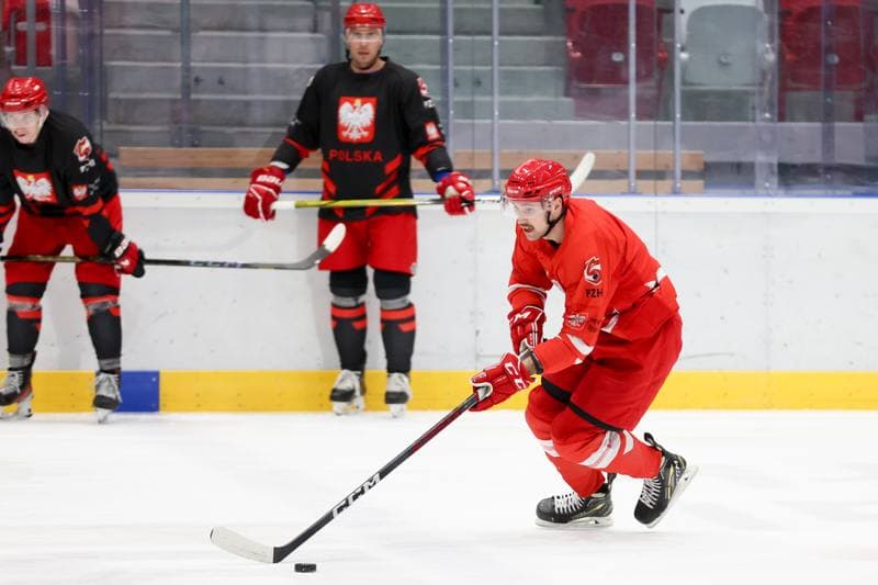 Ice Hockey. Poland national team. Training. 03.02.2024