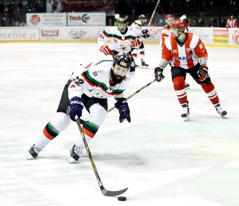 Ice Hockey. Polish Hockey League. GKS Tychy - Comarch Cracovia. 24.03.2016
