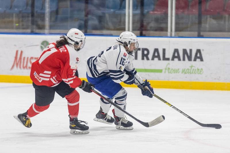 Ice Hockey. EWHL. Orlice Bytom - SKP Bratislava. 19.11.2022