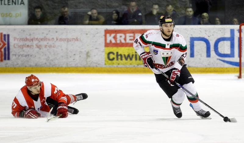 Ice Hockey. Polish Hockey League. GKS Tychy - Comarch Cracovia. 24.03.2016