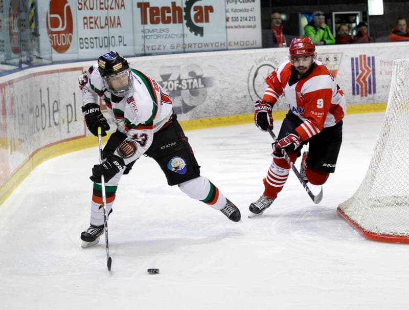 Ice Hockey. Polish Hockey League. GKS Tychy - Comarch Cracovia. 24.03.2016