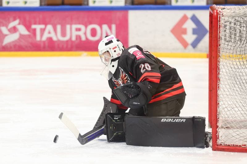 Ice Hockey. EWHL. Tauron Metropolia Silesia - KEHV Lakers. 04.02.2024