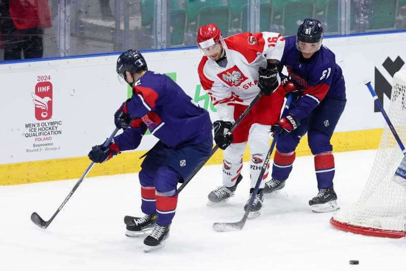 Ice Hockey. Friendly Match. Poland - South Korea. 05.02.2024