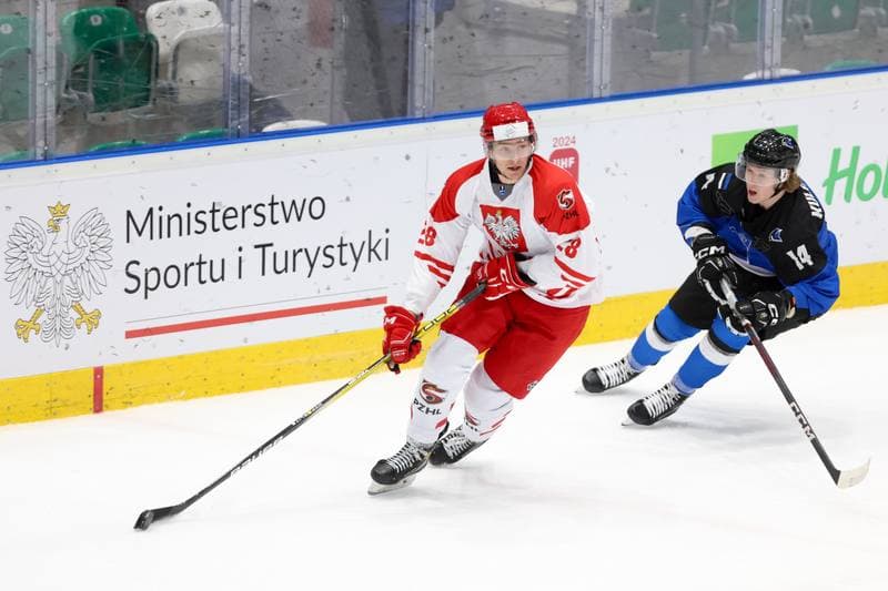 Ice Hockey. Olympic Qualification. Poland - Estonia. 08.02.2024