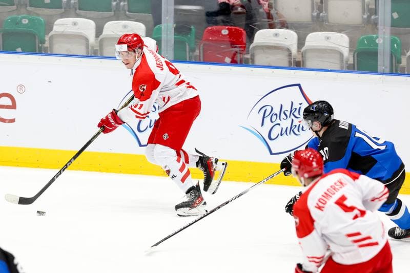 Ice Hockey. Olympic Qualification. Poland - Estonia. 08.02.2024