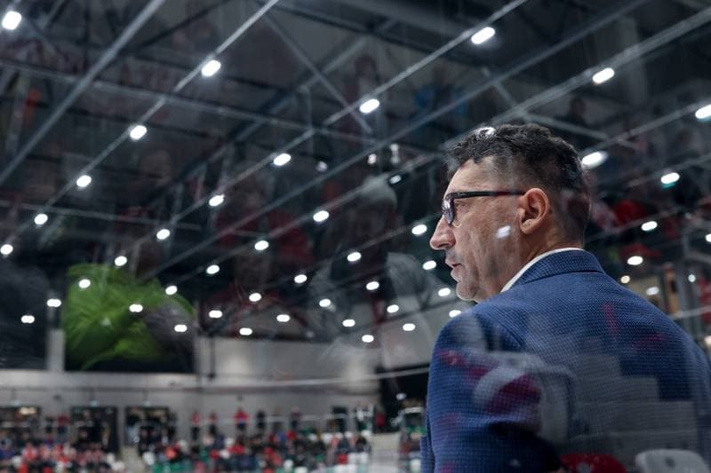 Ice Hockey. Olympic Qualification. Poland - Estonia. 08.02.2024