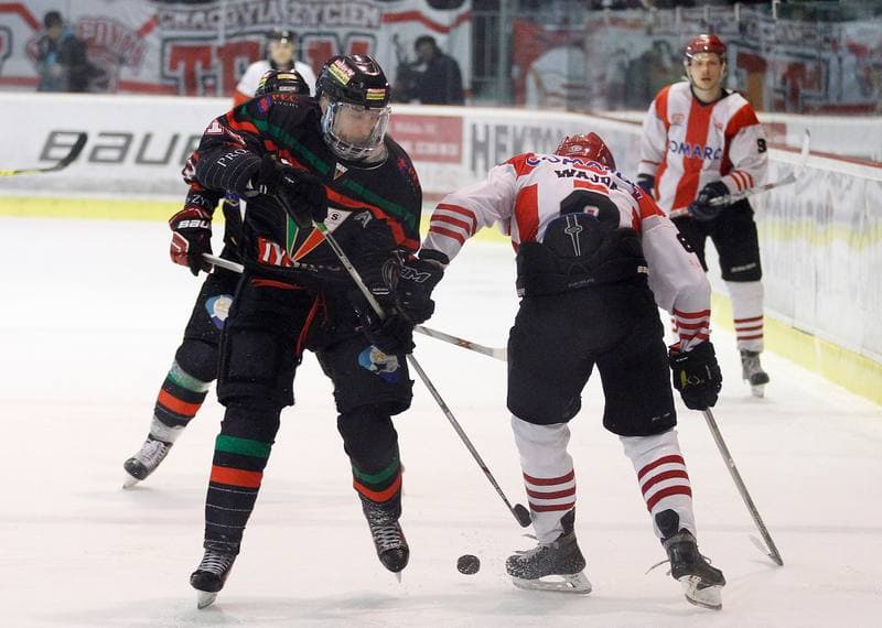 Ice Hockey. Polish Hockey League. Comarch Cracovia - GKS Tychy. 22.03.2016