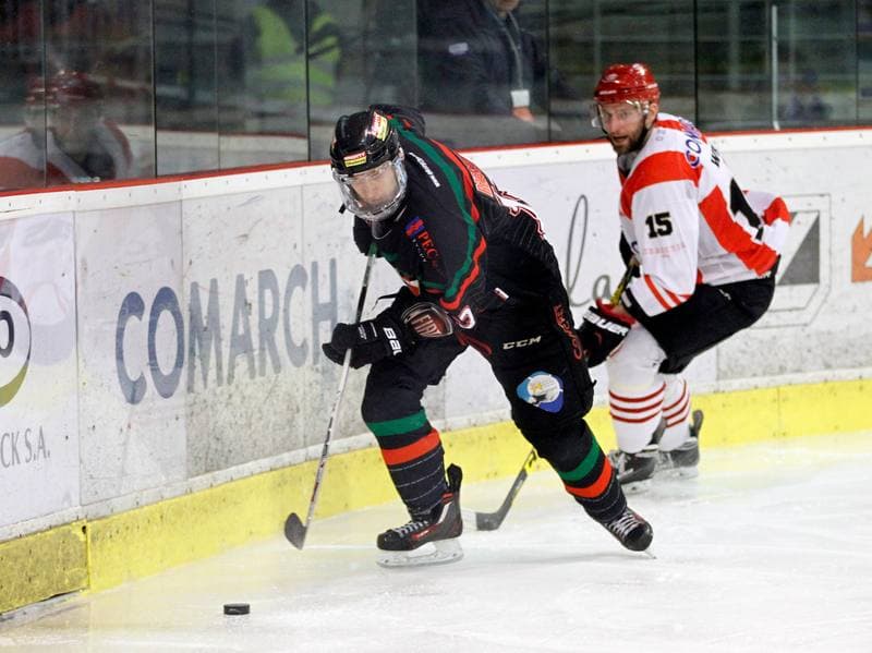 Ice Hockey. Polish Hockey League. Comarch Cracovia - GKS Tychy. 22.03.2016