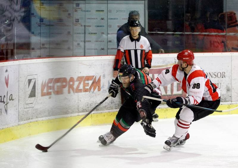 Ice Hockey. Polish Hockey League. Comarch Cracovia - GKS Tychy. 22.03.2016