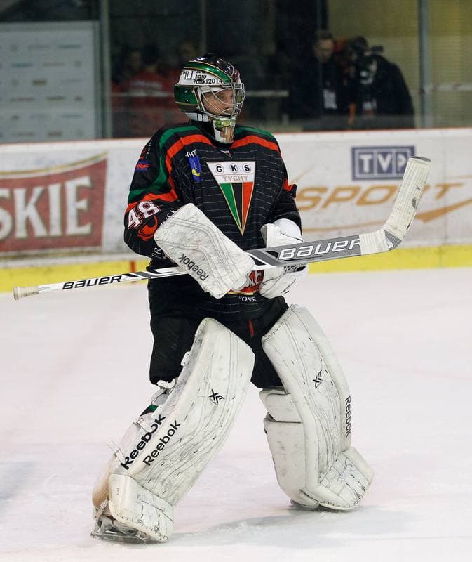 Ice Hockey. Polish Hockey League. Comarch Cracovia - GKS Tychy. 22.03.2016