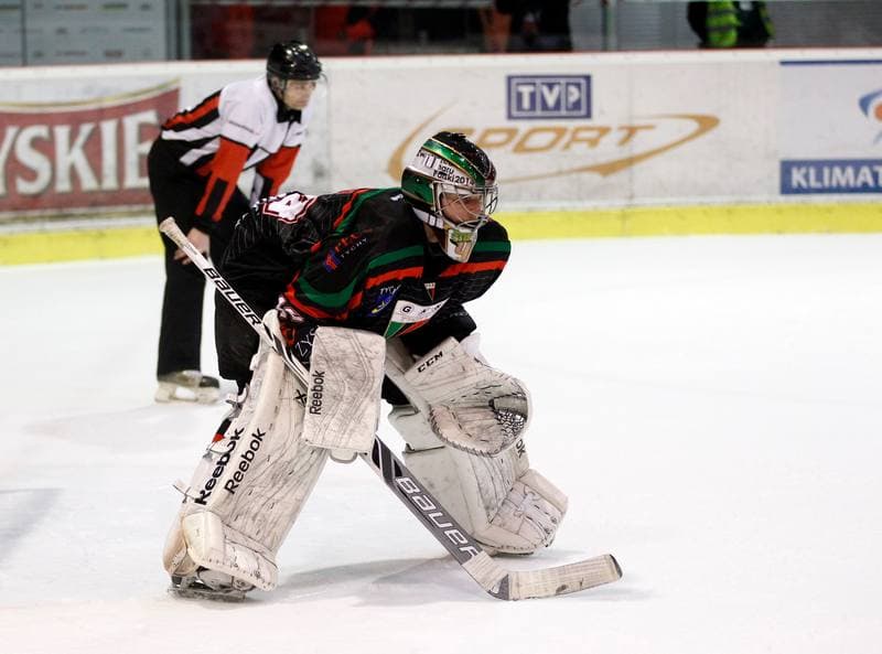 Ice Hockey. Polish Hockey League. Comarch Cracovia - GKS Tychy. 22.03.2016