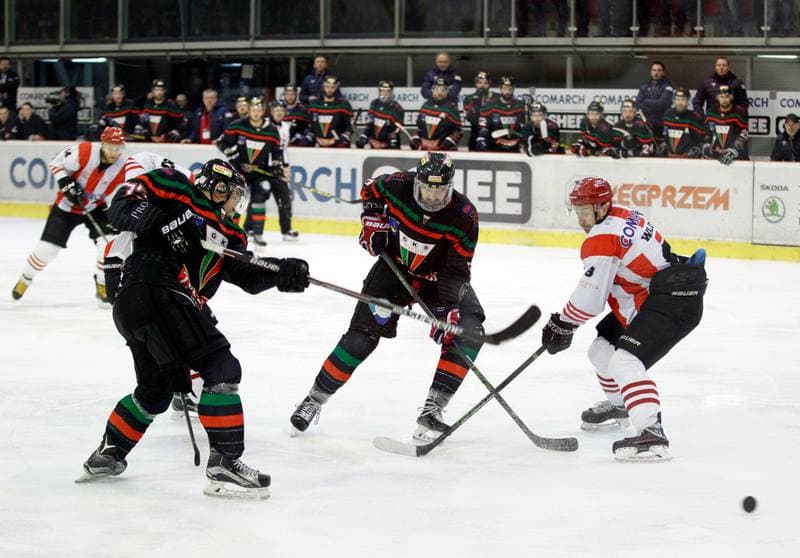 Ice Hockey. Polish Hockey League. Comarch Cracovia - GKS Tychy. 22.03.2016