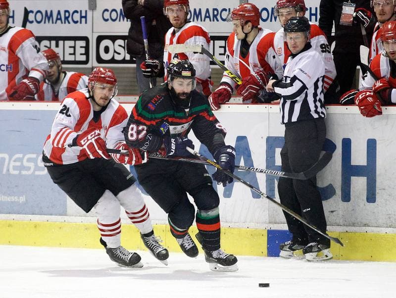 Ice Hockey. Polish Hockey League. Comarch Cracovia - GKS Tychy. 22.03.2016