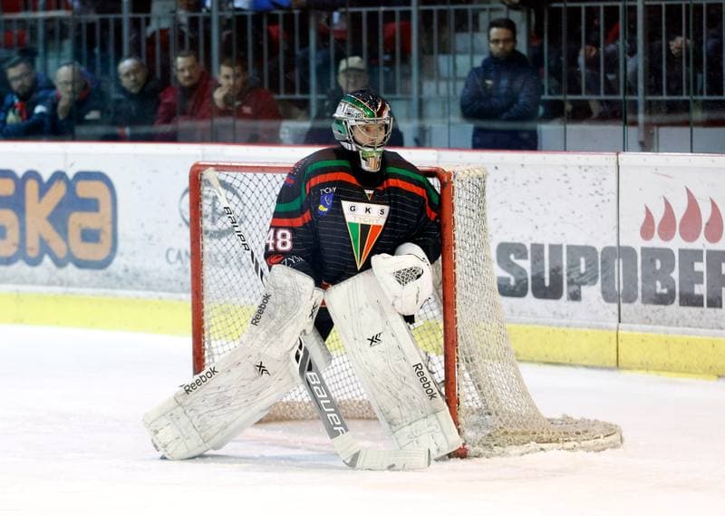 Ice Hockey. Polish Hockey League. Comarch Cracovia - GKS Tychy. 22.03.2016