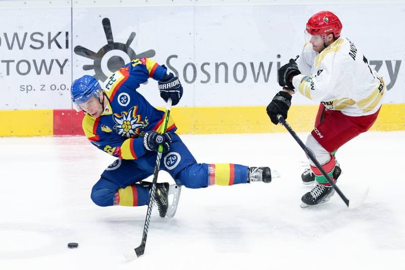 Ice Hockey. Tauron Hokej Liga. Zaglebie Sosnowiec - PZU Podhale Nowy Targ. 14.02.2024