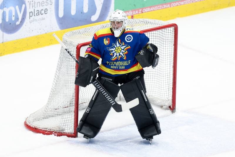 Ice Hockey. Tauron Hokej Liga. Zaglebie Sosnowiec - PZU Podhale Nowy Targ. 14.02.2024