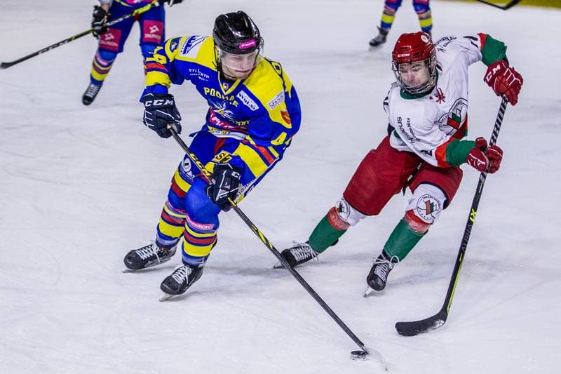 Ice Hockey. PHL. Zaglebie Sosnowiec - Tauron Podhale Nowy Targ. 06.02.2022