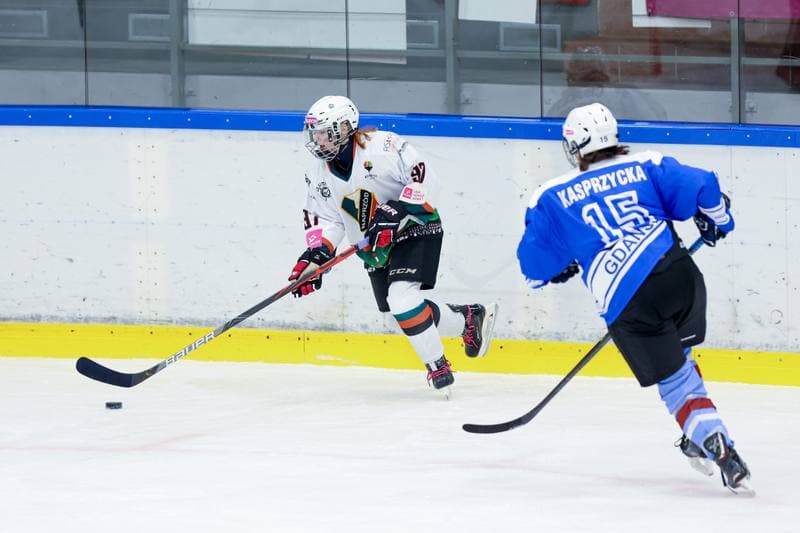 Ice Hockey. Tauron Liga. Kojotki Naprzod Janow - Stoczniowiec Gdansk. 24.02.2024