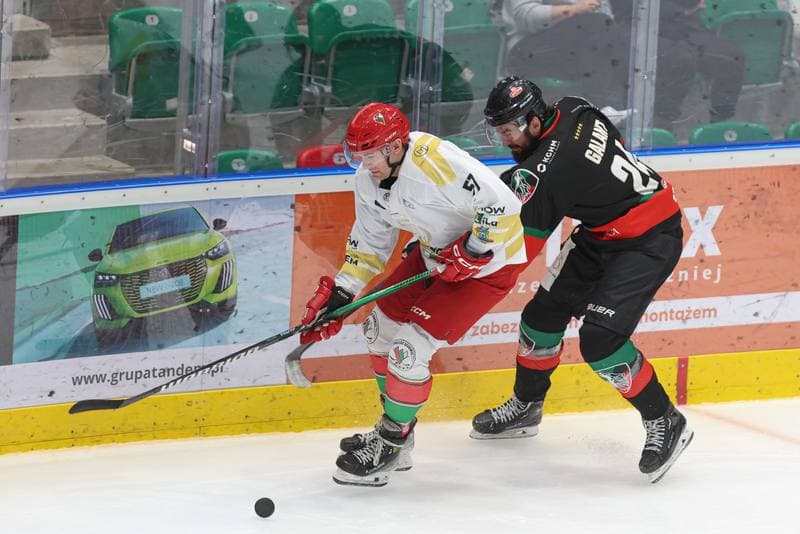 Ice Hockey. Tauron Hokej Liga. Zaglebie Sosnowiec - GKS Tychy. 27.02.2024