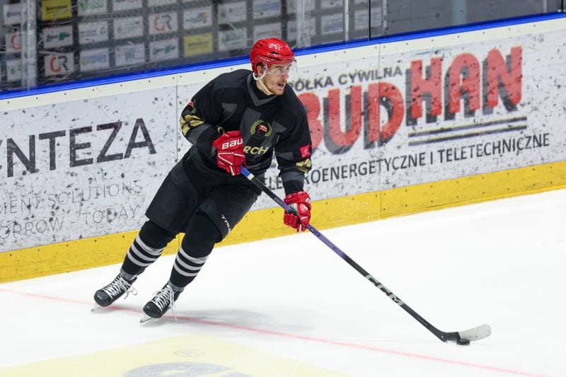 Ice Hockey. Tauron Hokej Liga. Re-Plast Unia Oswiecim - Comarch Cracovia. 01.03.2024