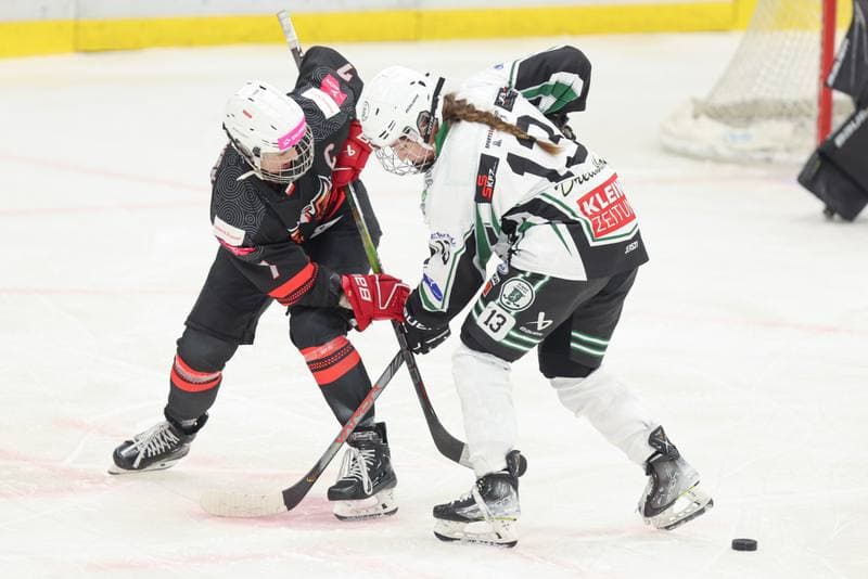 Ice Hockey. EWHL. Tauron Metropolia Silesia - EC Graz Huskies. 02.03.2024
