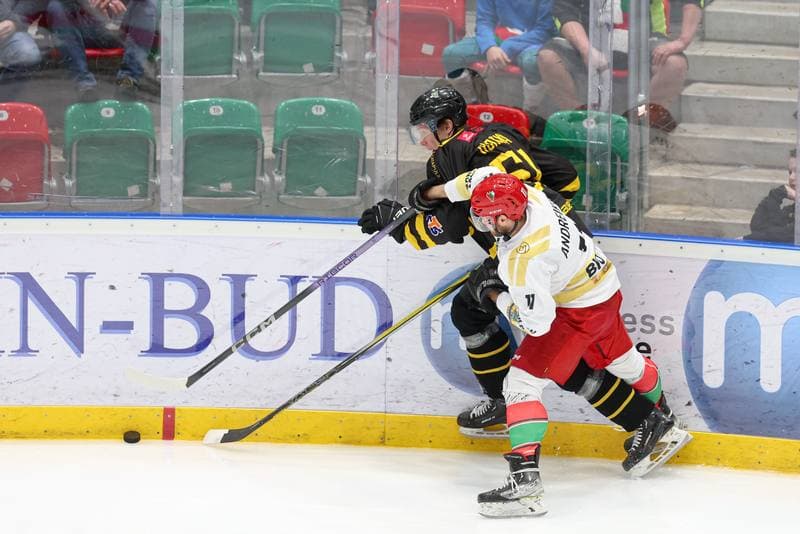 Ice Hockey. Tauron Hokej Liga. Zaglebie Sosnowiec - GKS Katowice. 06.03.2024