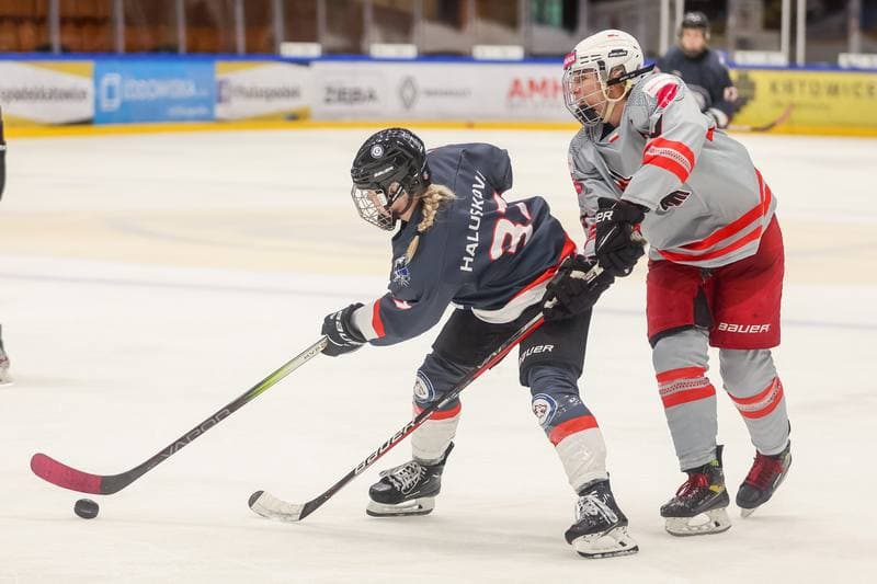Ice Hockey. EWHL. Tauron Metropolia Silesia - Budapest Jegkorong Akademia. 22.10.2023