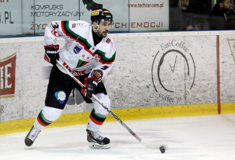 Ice Hockey. Polish Hockey League. GKS Tychy - Comarch Cracovia. 18.03.2016