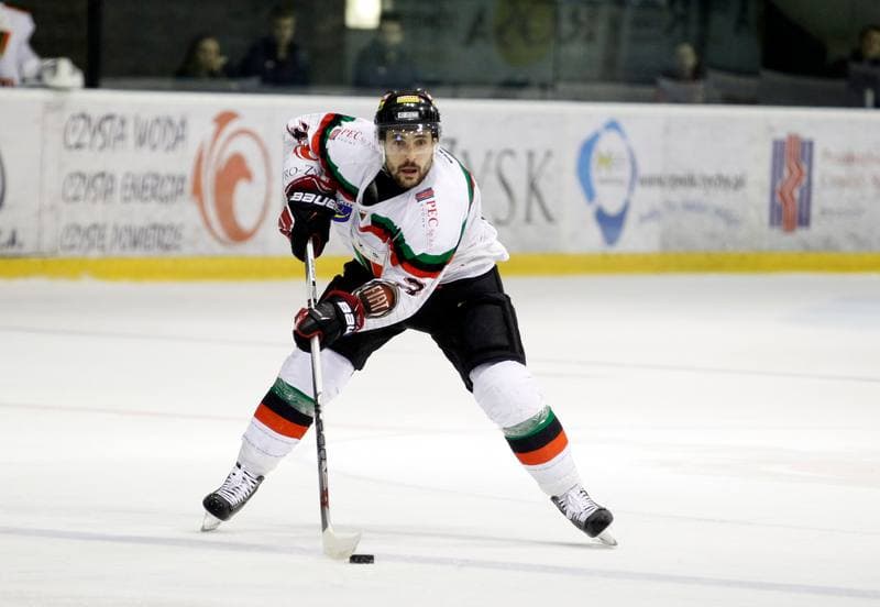 Ice Hockey. Polish Hockey League. GKS Tychy - Comarch Cracovia. 18.03.2016