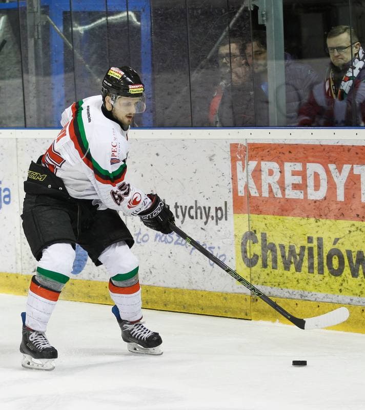 Ice Hockey. Polish Hockey League. GKS Tychy - Comarch Cracovia. 18.03.2016