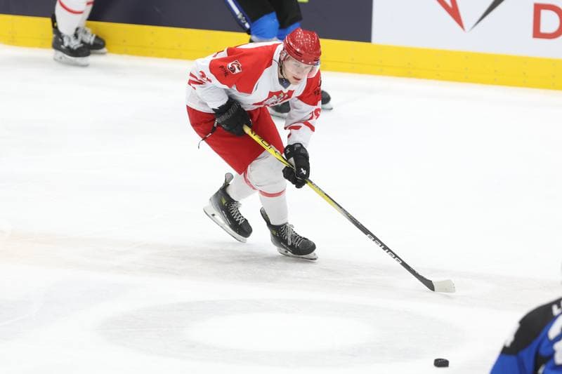 Ice Hockey. Euro Ice Hockey Challenge. Poland - Estonia. 09.11.2023