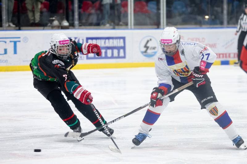 Ice Hockey. Tauron Liga Kobiet. BS Polonia Bytom - Kojotki Naprzod Janow. 16.03.2024
