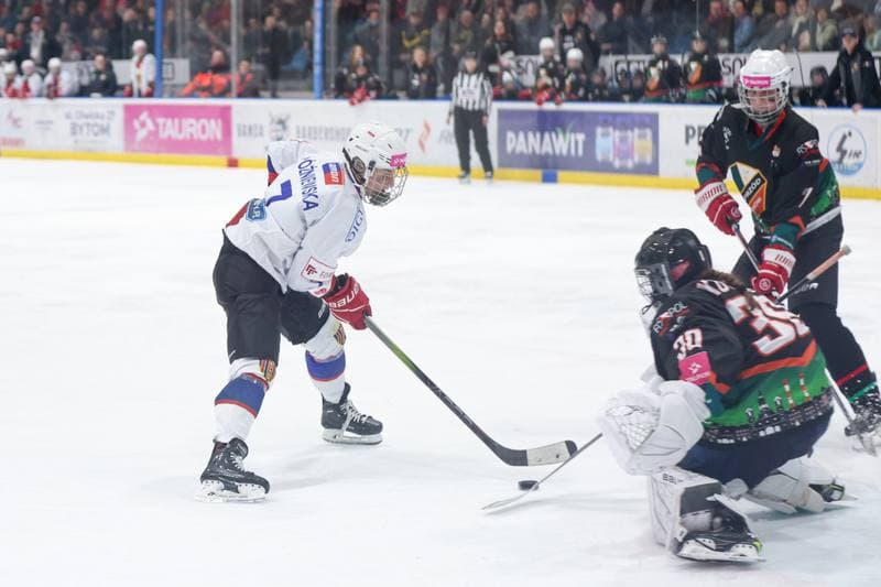 Ice Hockey. Tauron Liga Kobiet. BS Polonia Bytom - Kojotki Naprzod Janow. 16.03.2024