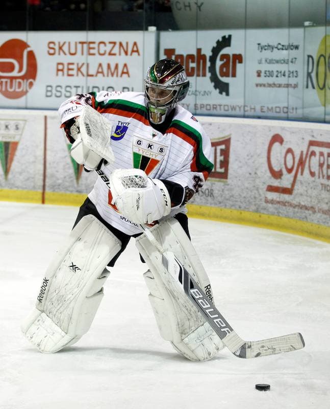 Ice Hockey. Polish Hockey League. GKS Tychy - Comarch Cracovia. 18.03.2016