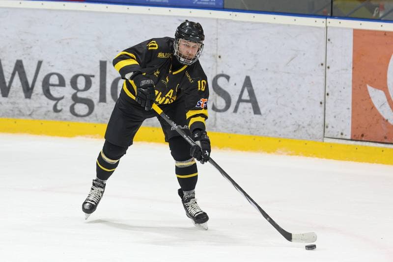 Ice Hockey. Tauron Hokej Liga. JKH GKS Jastrzebie - GKS Katowice. 21.03.2024