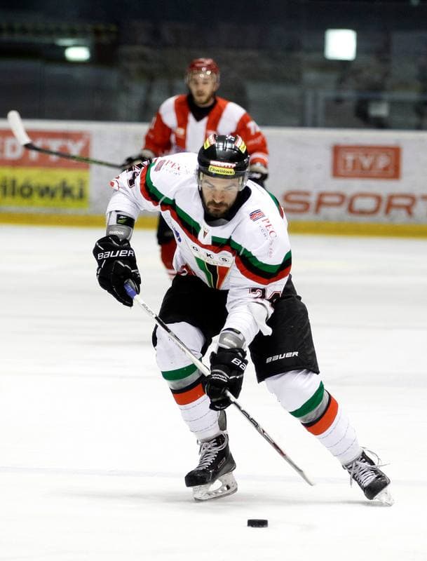 Ice Hockey. Polish Hockey League. GKS Tychy - Comarch Cracovia. 18.03.2016