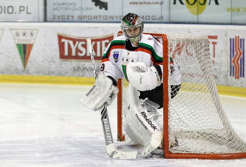 Ice Hockey. Polish Hockey League. GKS Tychy - Comarch Cracovia. 18.03.2016
