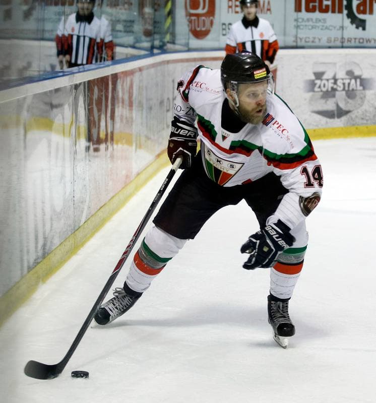 Ice Hockey. Polish Hockey League. GKS Tychy - Comarch Cracovia. 18.03.2016
