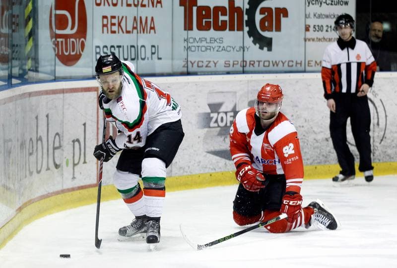 Ice Hockey. Polish Hockey League. GKS Tychy - Comarch Cracovia. 18.03.2016
