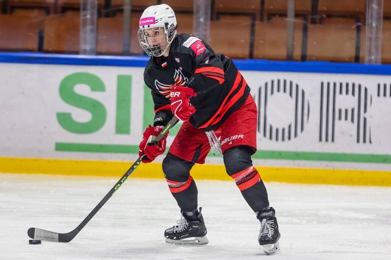 Ice Hockey. EWHL. Tauron Metropolia Silesia - Aisulu Almaty. 26.11.2023