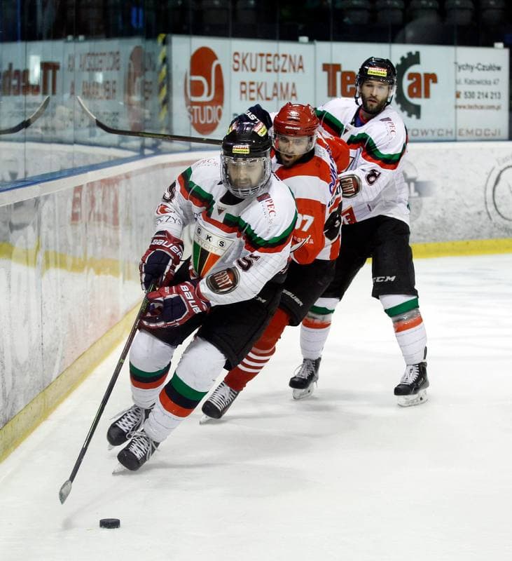 Ice Hockey. Polish Hockey League. GKS Tychy - Comarch Cracovia. 18.03.2016