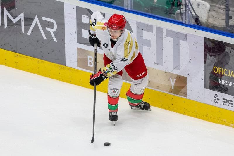 Ice Hockey. Tauron Hokej Liga. Zaglebie Sosnowiec - Marma Ciarko STS Sanok. 26.11.2023