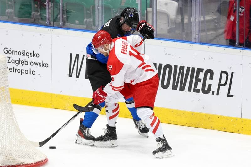 Ice Hockey. Olympic Qualification. Poland - Estonia. 08.02.2024