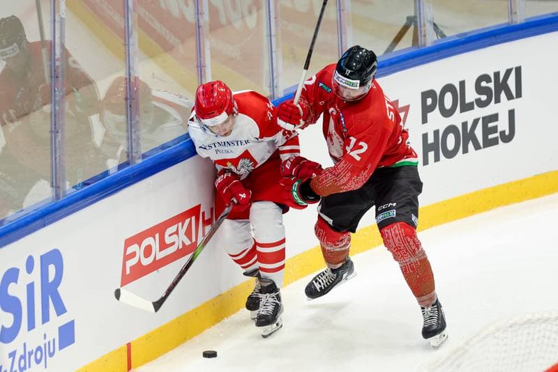 Ice Hockey. Friendly Match. Poland - Hungary. 12.04.2024
