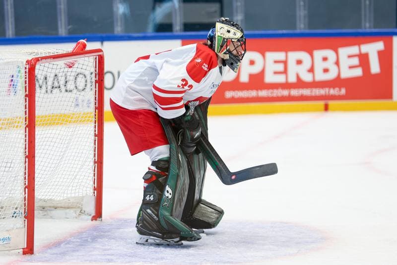 Ice Hockey. Friendly Match. Poland - Hungary. 12.04.2024