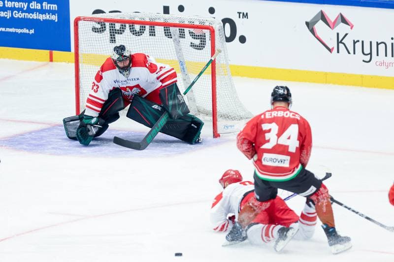 Ice Hockey. Friendly Match. Poland - Hungary. 12.04.2024