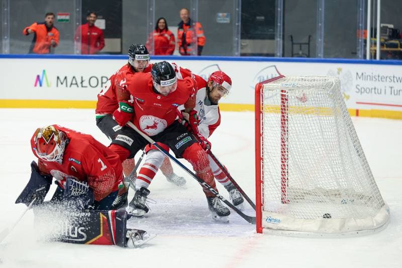 Ice Hockey. Friendly Match. Poland - Hungary. 13.04.2024