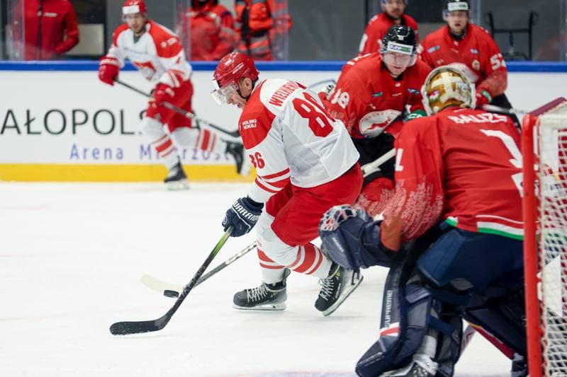 Ice Hockey. Friendly Match. Poland - Hungary. 13.04.2024